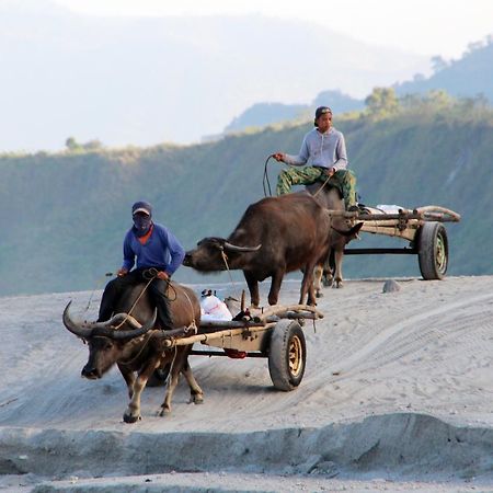Bognot Lodge : Alvin Bognot Mt Pinatubo Guesthouse And Tours Santa Juliana Eksteriør bilde